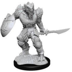 D&D Wave 15 Nolzur's Marvelous Miniatures Dragonborn Fighter Male